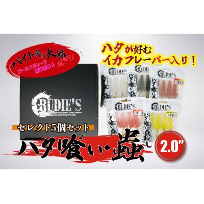 ふるさと納税 飯塚市 RUDIE'Sのハタ喰い・蟲 2.0inch セレクト5個セット
