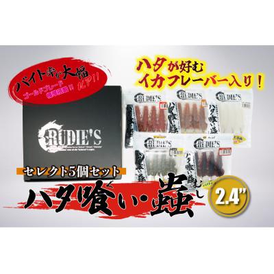 ふるさと納税 飯塚市 RUDIE'Sのハタ喰い・蟲 2.4inch セレクト5個セット