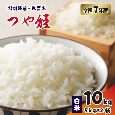 ふるさと納税 飯豊町 飯豊米 つや姫 白米10kg(精米)令和7年産