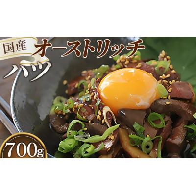 ふるさと納税 美里町 国産オーストリッチハツ 700g ◆ダチョウ肉