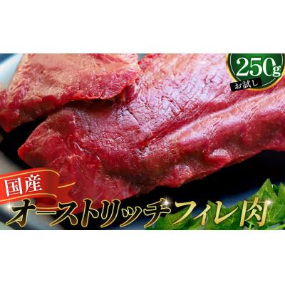 ふるさと納税 美里町 国産オーストリッチお試しフィレ肉 250g ◆ダチョウ肉