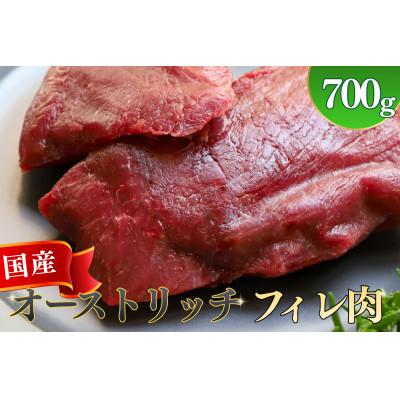 ふるさと納税 美里町 国産オーストリッチフィレ肉 700g◆ダチョウ肉