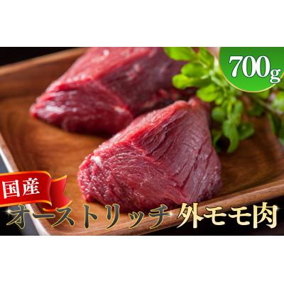 ふるさと納税 美里町 国産オーストリッチ外モモ肉 700g◆ダチョウ肉