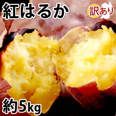 ふるさと納税 合志市 訳あり紅はるか 約5kg(合志市)