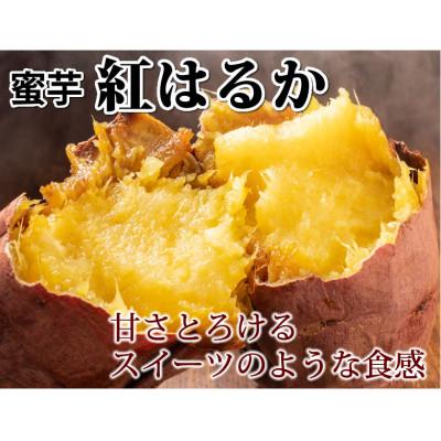 ふるさと納税 合志市 紅はるか 秀品(約5kg)(合志市)の画像