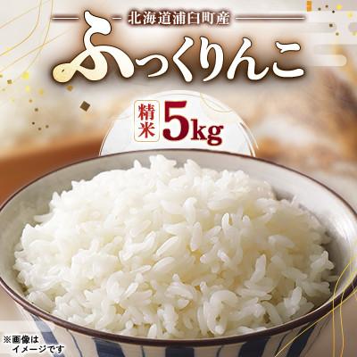 ふるさと納税 浦臼町 [先行予約 令和8年産]浦臼町産 ふっくりんこ(精米)5kg 特A