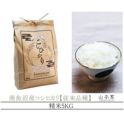 ふるさと納税 南魚沼市 [R8年産新米予約]南魚沼産コシヒカリ精米5kg[従来品種][令和8年10月上旬より順次発送]