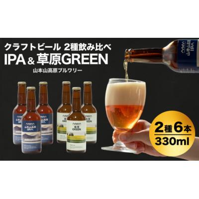 ふるさと納税 小千谷市 おぢやのクラフトビール 定番2種飲み比べ 計6本(330ml×各3本) IPA&amp;草原GREEN