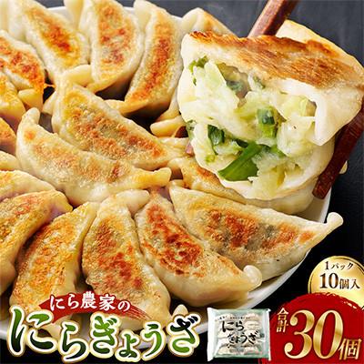ふるさと納税 高鍋町 にら農家の『にらぎょうざ』30個