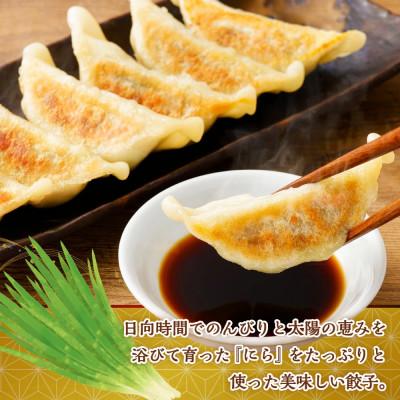 ふるさと納税 高鍋町 にら農家の『にらぎょうざ』100個_2