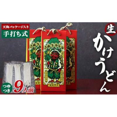 ふるさと納税 琴平町 天狗パッケージ入り 3人前×3箱[かけうどん9人前]F5J-966