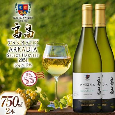 ふるさと納税 高畠町 ワイン 白 高畠 アルケイディア シャルドネ 750ml×2本セット