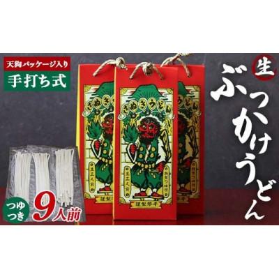 ふるさと納税 琴平町 天狗パッケージ入り 3人前×3箱[ぶっかけうどん9人前]F5J-969
