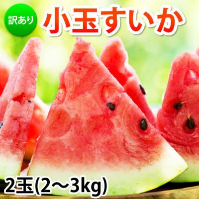ふるさと納税 合志市 訳あり 小玉すいか 2玉 約2〜3kg[2027年5月下旬〜7月下旬発送予定](合志市)