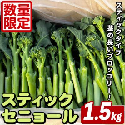 ふるさと納税 阿久根市 スティックセニョール (1.5kg) 鹿児島県 阿久根市産 ブロッコリー