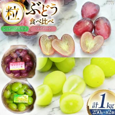 ふるさと納税 高畠町 [期間限定発送]ぶどう食べ比べ シャインマスカット・マイハート (250g×各2個) 計4個 1kg