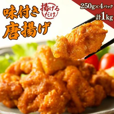 ふるさと納税 都農町 揚げるだけ!!味付き唐揚げ(計1kg)[T006-0015](都農町)