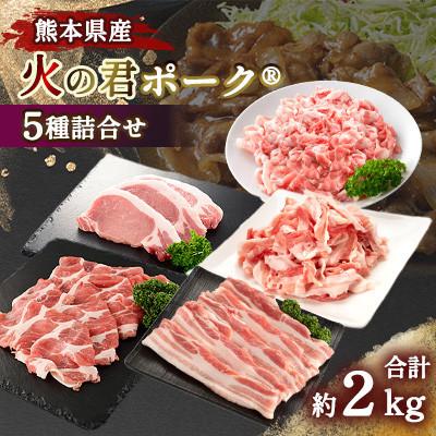 ふるさと納税 嘉島町 熊本県産 火の君ポーク(R) 5種詰合せ 計約2kg(嘉島町)