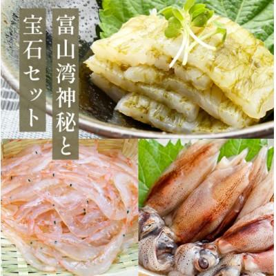 ふるさと納税 氷見市 富山湾の神秘 ほたるいか と富山湾の宝石 白エビ セット [冷凍]