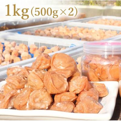 ふるさと納税 日高川町 訳あり 昔ながらの白干し完熟南高梅 ≪約1kg≫ 無添加 紀州梅香 (20-G)