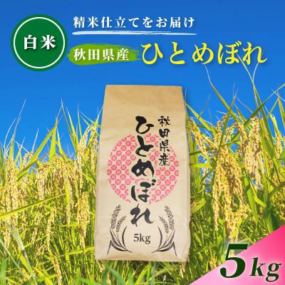 ふるさと納税 由利本荘市 令和8年産 新米受付[白米]通算5回特A 秋田県産ひとめぼれ5kg(5kg×1袋) 1回のみお届け