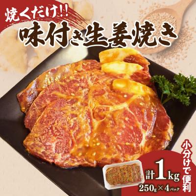 ふるさと納税 都農町 焼くだけ!!味付き生姜焼き(計1kg)[T006-0065](都農町)