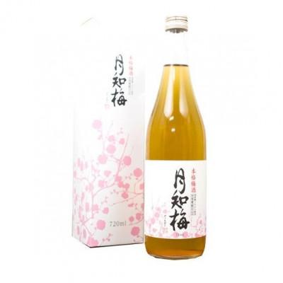 ふるさと納税 綾町 梅酒 月知梅 1800ml×1本