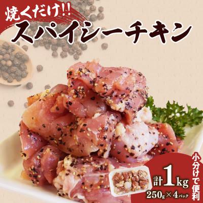 ふるさと納税 都農町 焼くだけ!!スパイシーチキン(計1kg) [T006-0075](都農町)