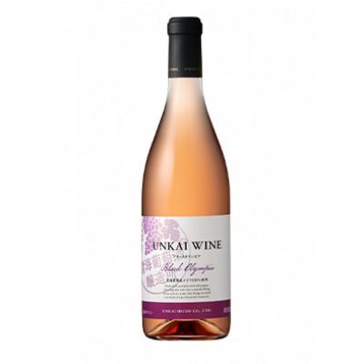 ふるさと納税 綾町 ワインセット(ブラックオリンピア・デラウェア)720ml×2本