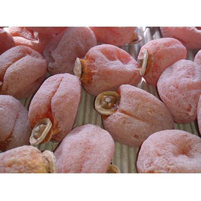 ふるさと納税 豊丘村 【先行受付】【市田柿専門店　金の柿】市田柿　自家用250g×4袋(計1kg) |  | 02