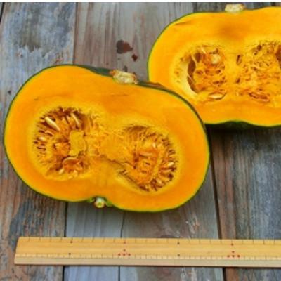 ふるさと納税 遠野市 【4種のブランド栗かぼちゃ】食べごろ(10kg)栽培期間中農薬不使用  / 遠野もぐもぐカントリー |  | 01