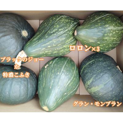 ふるさと納税 遠野市 【4種のブランド栗かぼちゃ】食べごろ(10kg)栽培期間中農薬不使用  / 遠野もぐもぐカントリー |  | 02