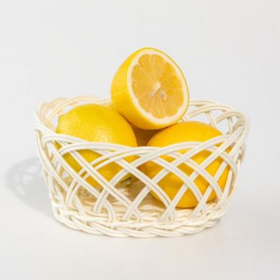 ふるさと納税 九度山町 [2027年1月中旬より順次発送]和歌山県産 レモン秀品3kg サイズ混合