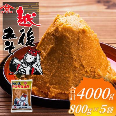 ふるさと納税 小千谷市 山崎醸造 越後みそ雪(赤)800g×5個 味噌 調味料 発酵食品 新潟県 小千谷市