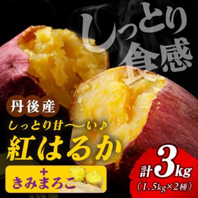 ふるさと納税 京丹後市 [食べ比べ]紅白 きみまろこと紅はるかのさつまいもセット 3kg 京丹後市の農家直送