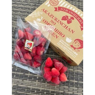 ふるさと納税 掛川市 紅ほっぺ 冷凍いちご500g×4袋 計2kg