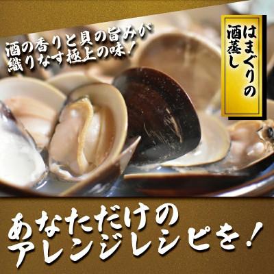 ふるさと納税 藤沢市 【かながわブランド認定品】大粒　湘南はまぐり　約1.4kg　湘南漁業組合　〜 神奈川県 藤沢市 〜 |  | 03