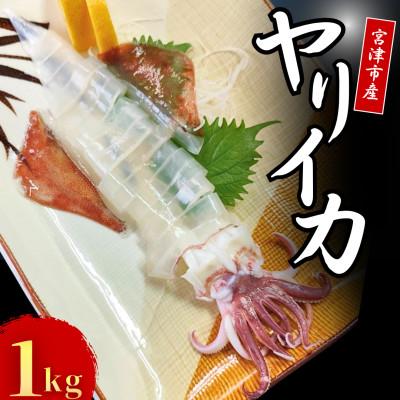 ふるさと納税 宮津市 京都宮津産 新鮮ヤリイカ 刺身用 冷凍 約1kg