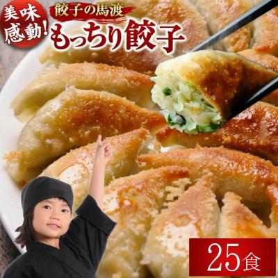 ふるさと納税 高鍋町 馬渡のもっちり餃子 25個