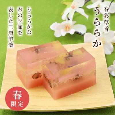 ふるさと納税 長岡京市 春限定羊羹・うららか あっさりとした味わいの三層ようかん 京都府長岡京市