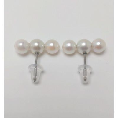 ふるさと納税 伊勢市 アコヤ真珠 4.5m/m UP ピアス 純チタン 2128 |  | 01