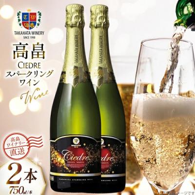 ふるさと納税 高畠町 ワイン 白 高畠シードル 750ml 2本 セット