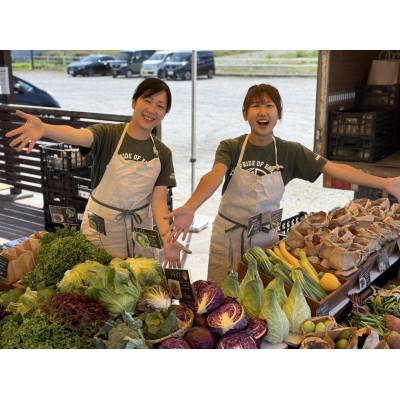 ふるさと納税 江別市 北海道江別産 季節の彩り野菜セット S|Ambitious Farm