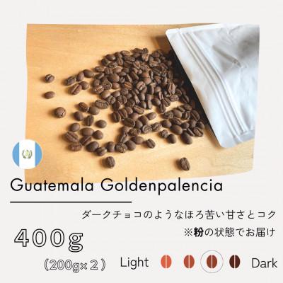 ふるさと納税 筑後市 [粉]グアテマラ ゴールデンパレンシア リオ ウォッシュド(中深煎り)200g×2