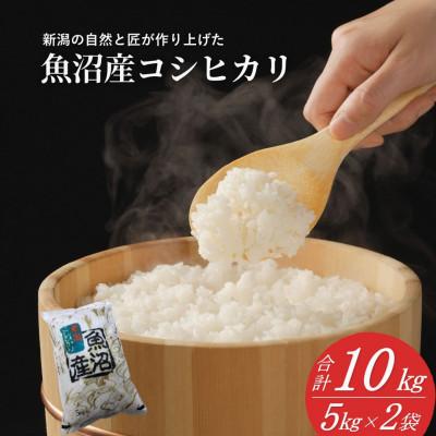 ふるさと納税 小千谷市 令和7年産 魚沼産 コシヒカリ 精米 10kg 共栄農工社のおいしいお米 新潟県 小千谷市