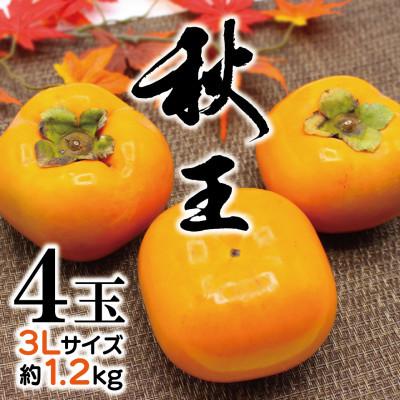 ふるさと納税 宮若市 [2026年10月下旬〜11月下旬発送予定]福岡県ブランド柿「秋王」約1.2kg 3L4玉(宮若市)