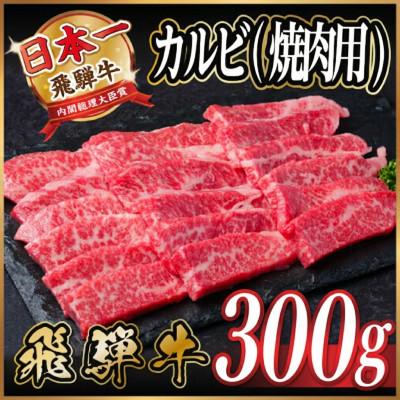ふるさと納税 羽島市 飛騨牛 厳選カルビ(焼肉・BBQ用) 300g A4〜A5等級 黒毛和牛