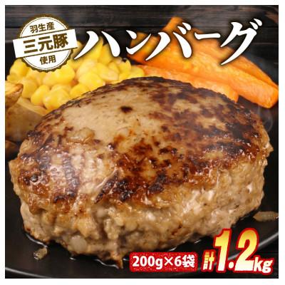 ふるさと納税 羽生市 羽生産三元豚の合挽ハンバーグ1.2kg
