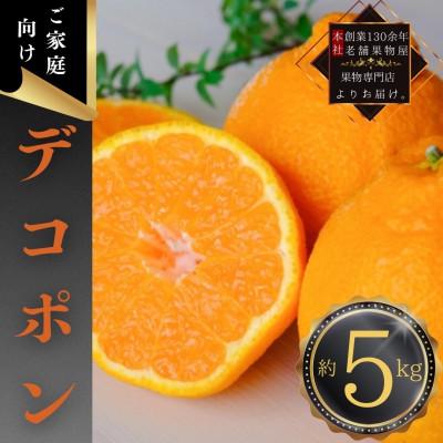 ふるさと納税 小豆島町 [2027年3月中旬より順次発送]ご家庭向け!「デコポン」約5kg