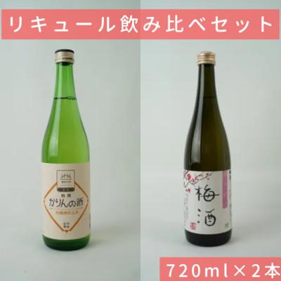 ふるさと納税 諏訪市 純米仕込 梅酒/特撰かりんの酒 信濃屋リキュール飲み比べセット [720ml×2本]